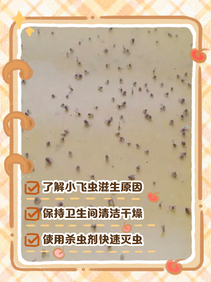 屋里有小飞虫怎么消灭